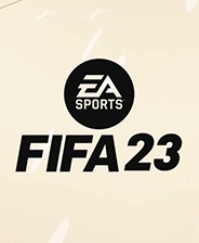 《FIFA 09》英文免安装版 游戏截图 2